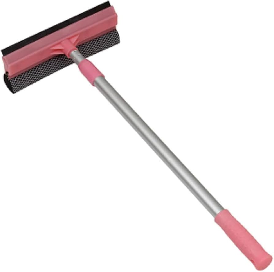 Sponge Window Squeegee